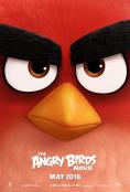  Angry Birds:  - 