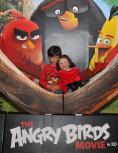  Angry Birds:  - 